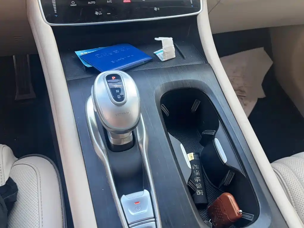 Voyah Auto Voyah Dreamer 2022 2022 Low-carbon Dream+Smart Package