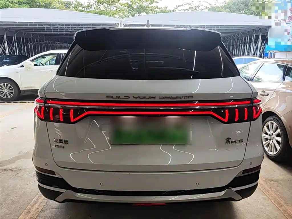 BYD SONGJIANG NEW ENERGY