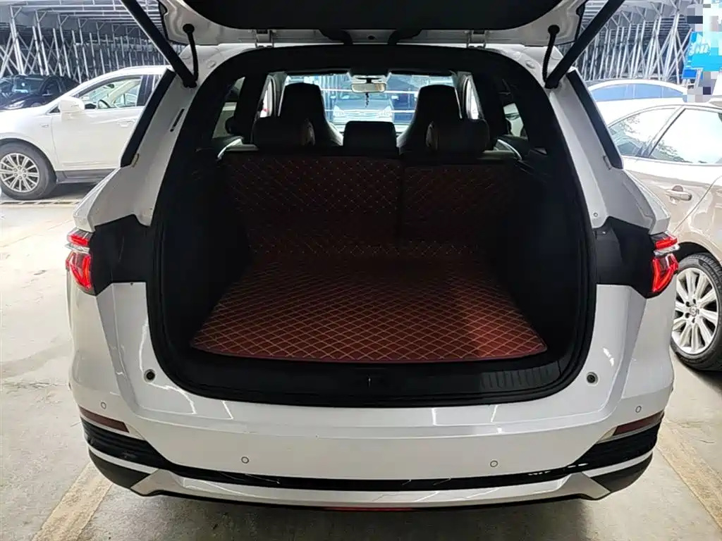 BYD SONGJIANG NEW ENERGY