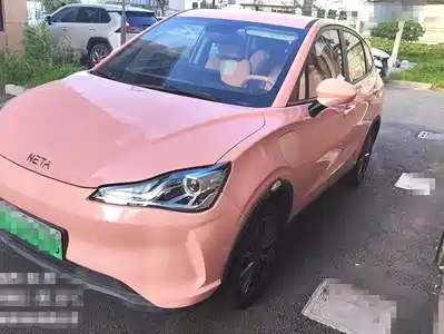 Neta V