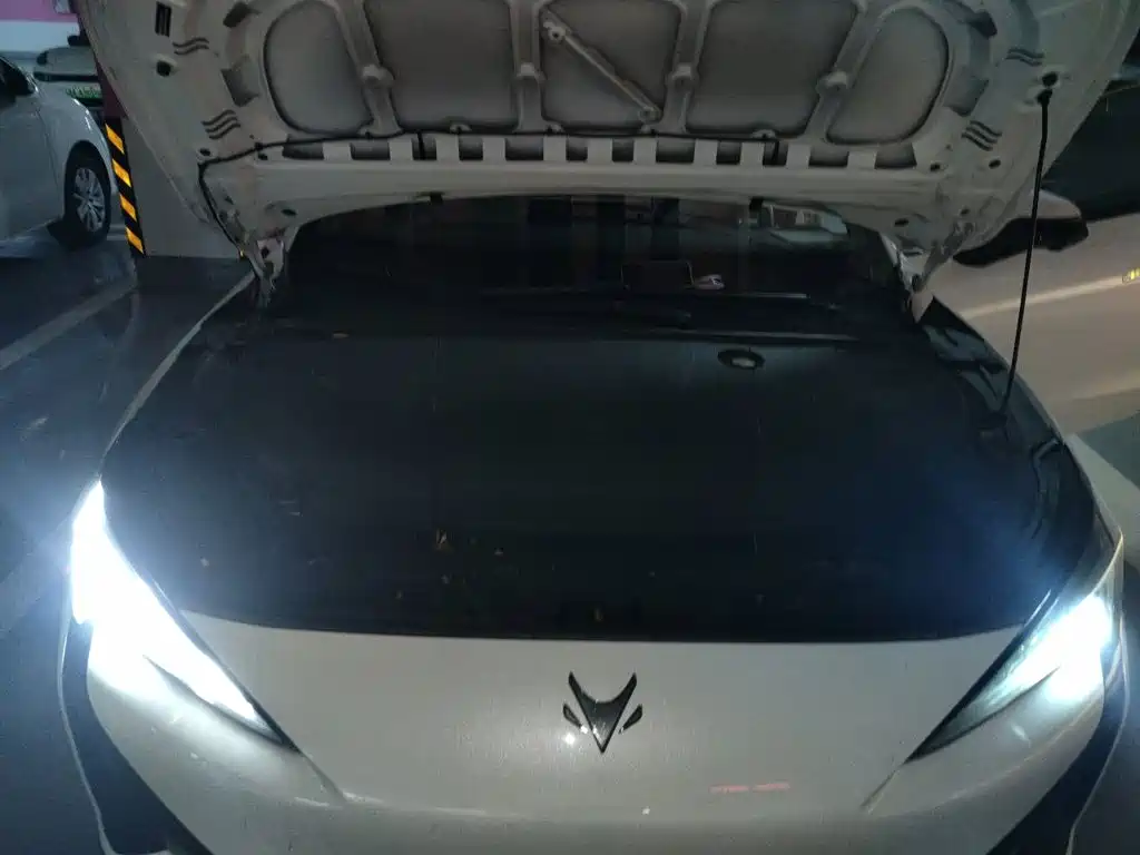 ARCFOX Alpha S5 2025 2024 560PRO 185kW