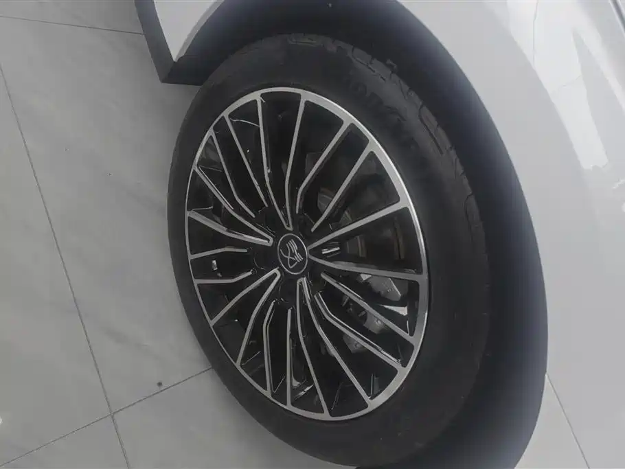 BYD Han 2023 DM-i Champion Edition 121KM Premium фото 6