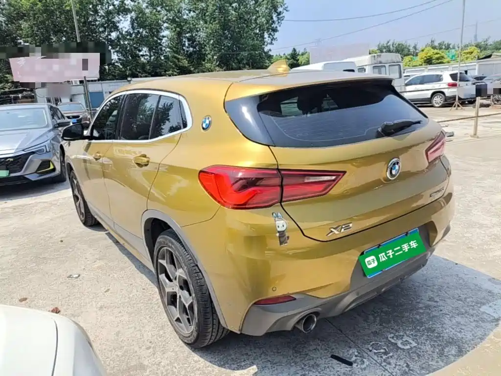 BMW X2 (Import) 2019 2019 sDrive20i M Off-Road Package China VI