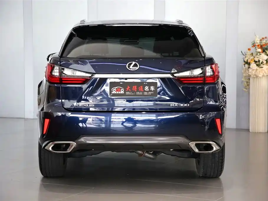 Lexus RX 2016 300 4WD Elegance Edition (China V) фото 4