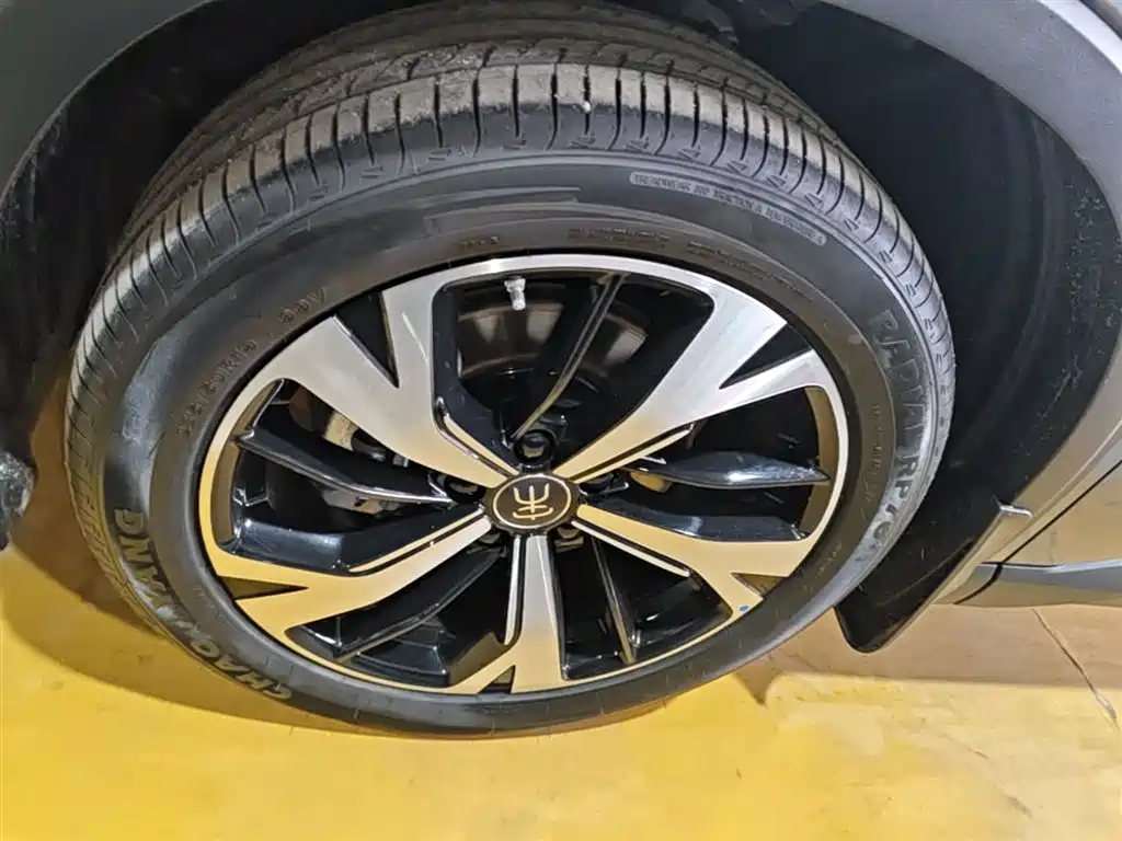 BYD Song Pro New Energy 2025 2nd Gen DM-i 115KM Excellence фото 23
