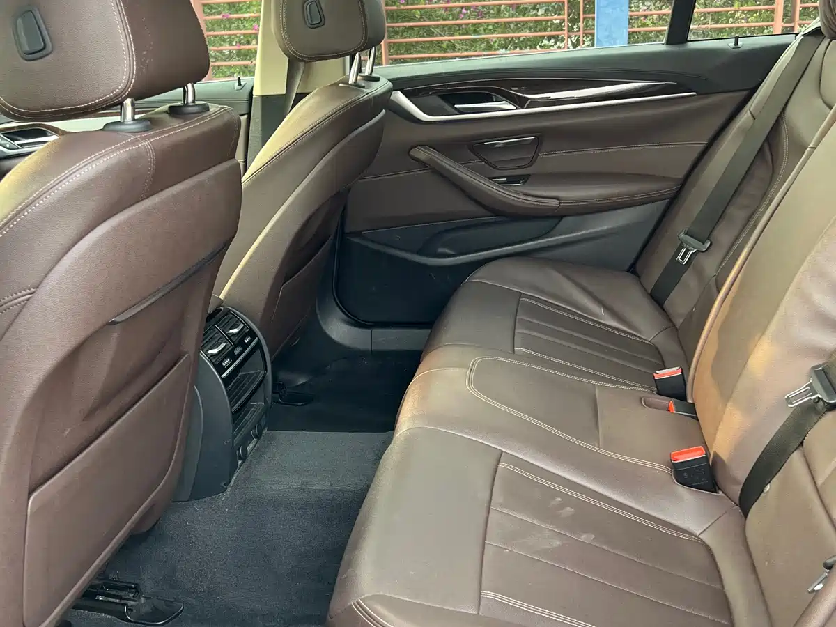 BMW 5 Series 2019 525Li Luxury Package фото 9