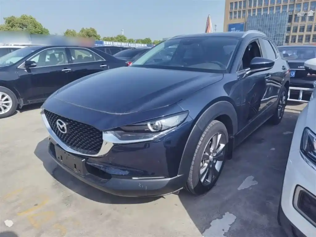 Mazda CX-30 2021 2.0L Auto Premium Joy Type