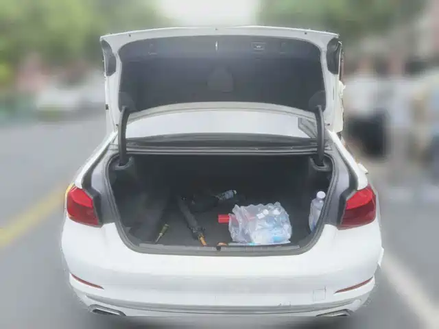 BMW 5 Series 2020 525Li Luxury Package — фото 5