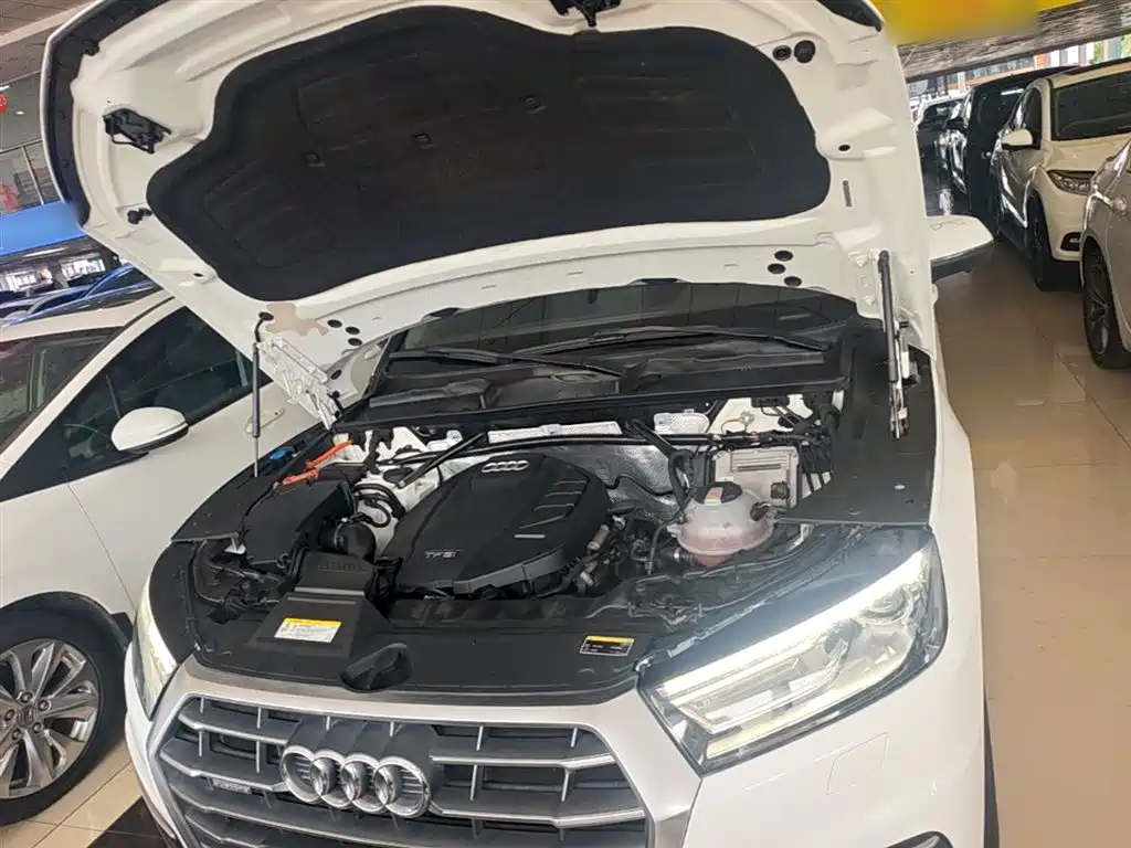 Audi Q5L 2018 40 TFSI Prestige Progressive (China V) фото 20