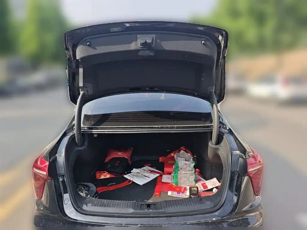 Hongqi H5 2024 2.0T Automatic Smart Connect Flag Smooth Edition фото 16