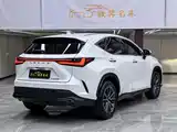 صورة 6 - Lexus NX