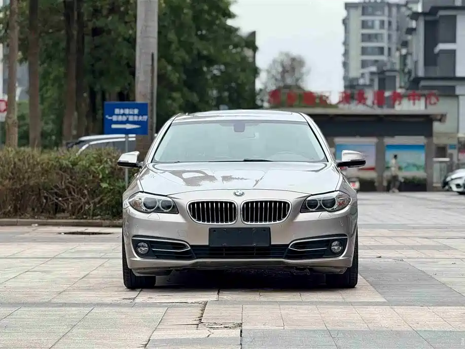 BMW 5 Series 2014 525Li Luxury Design Package фото 2