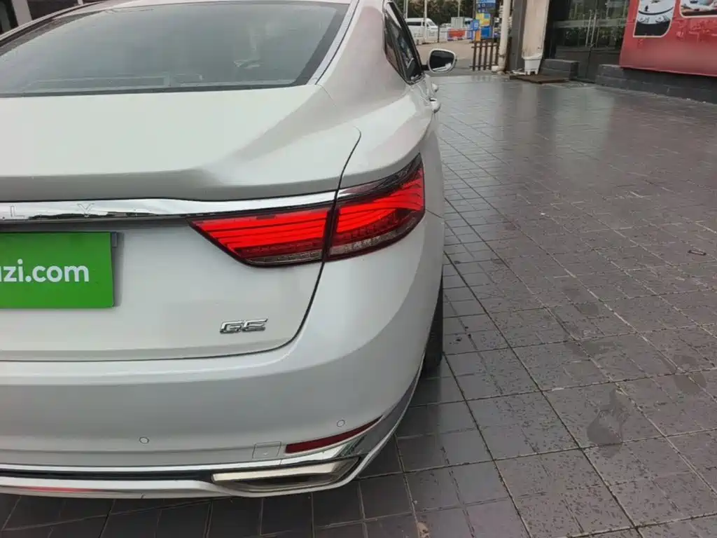 Photo 8 - Geely Borui