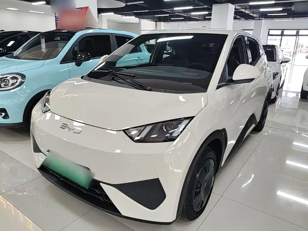 BYD Seagull 2025 Smart Drive Edition 305km Vitality Version