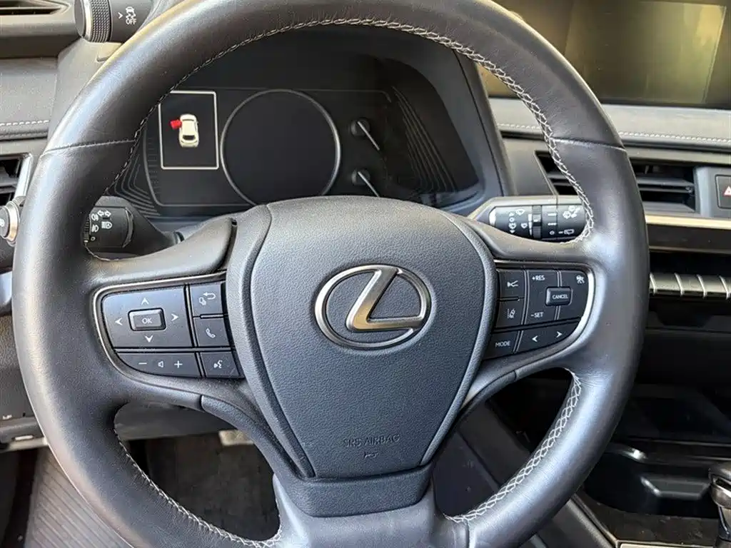 Lexus UX 2021 2020 260h Explore Fun Edition