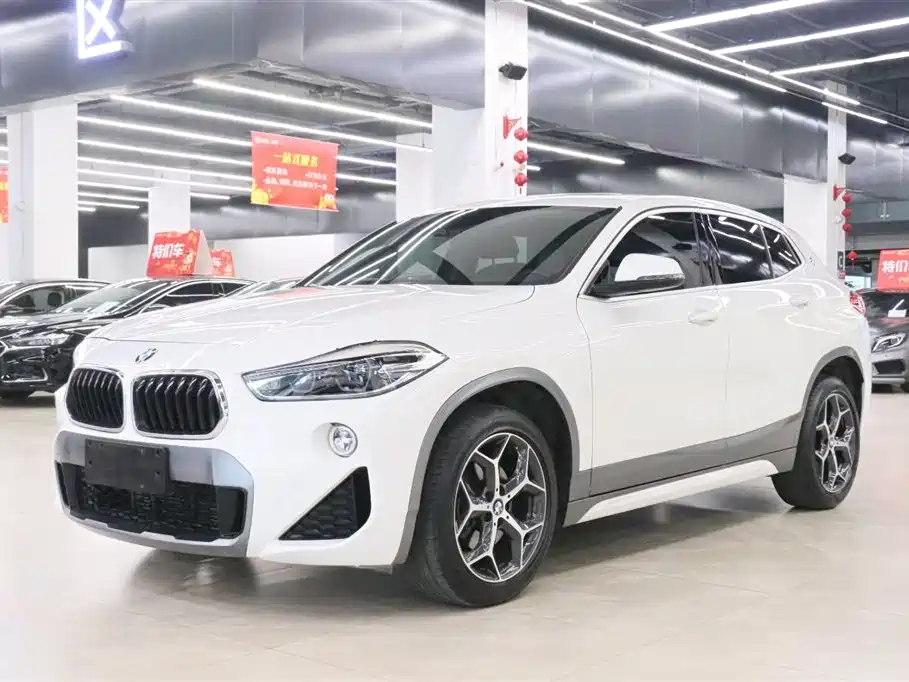 BMW X2 (Import) 2019 sDrive20i M Off-Road Package China VI