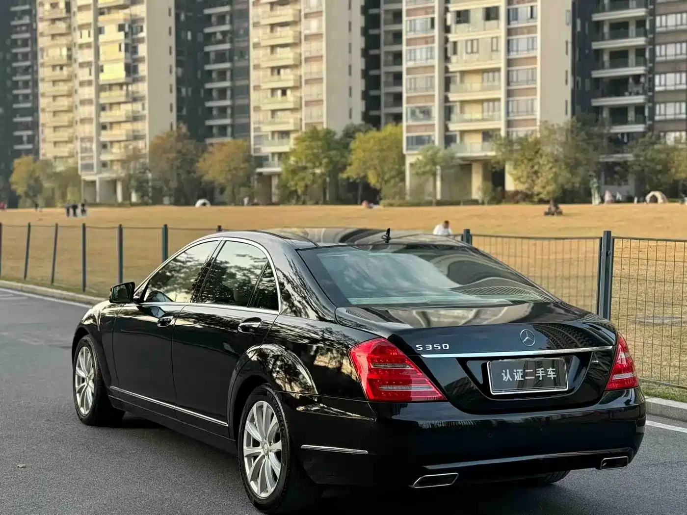 Mercedes-Benz S-Class 2010 S 350 L 4MATIC фото 7