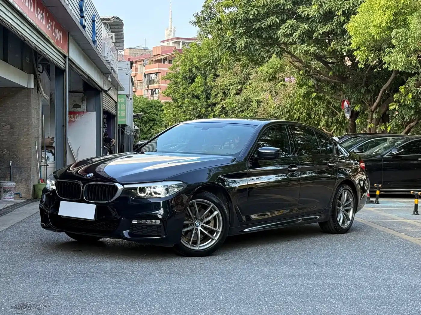 BMW 5 Series (Import) 2018 — пригон из Китая