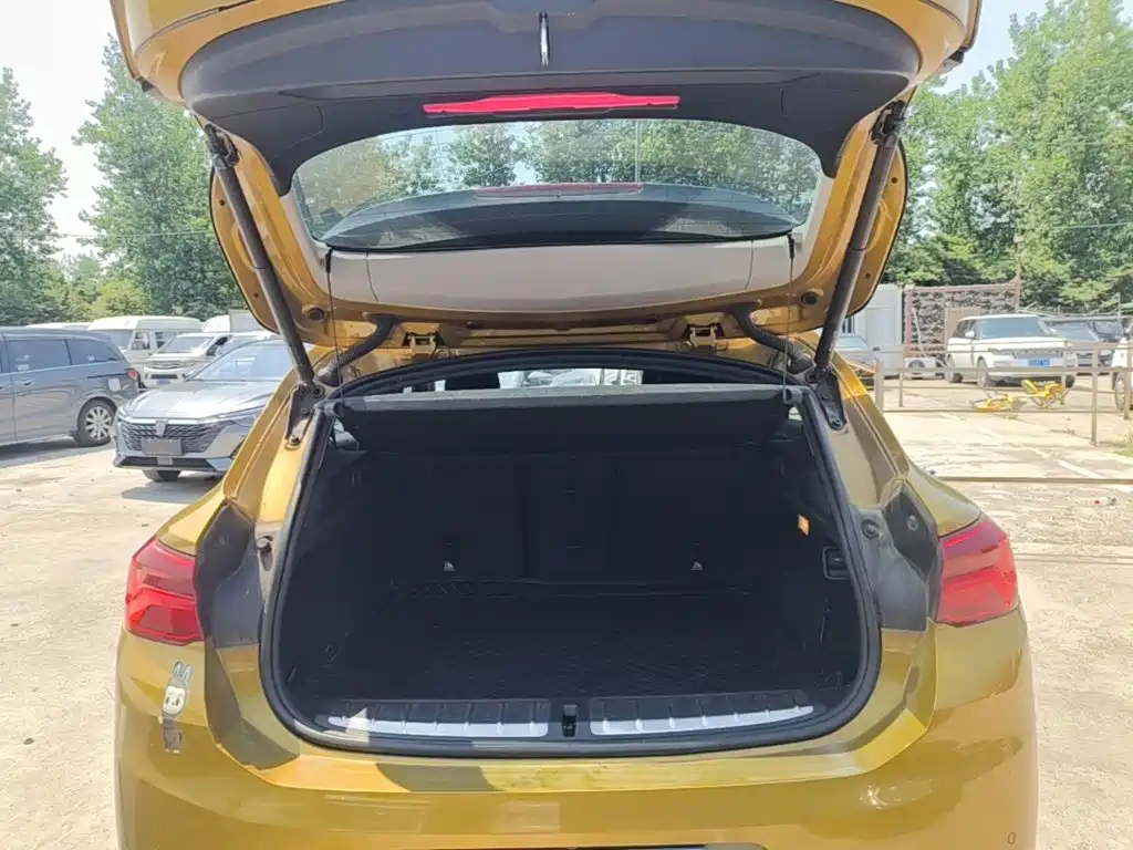 BMW X2 (Import) 2019 2019 sDrive20i M Off-Road Package China VI