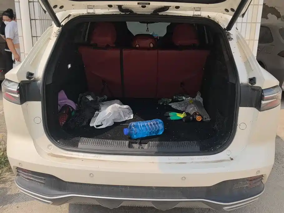 Фото 4 - Roewe RX5