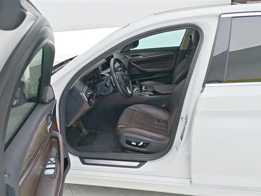 BMW 5 Series 2019 530Li Premium Luxury Package фото 9