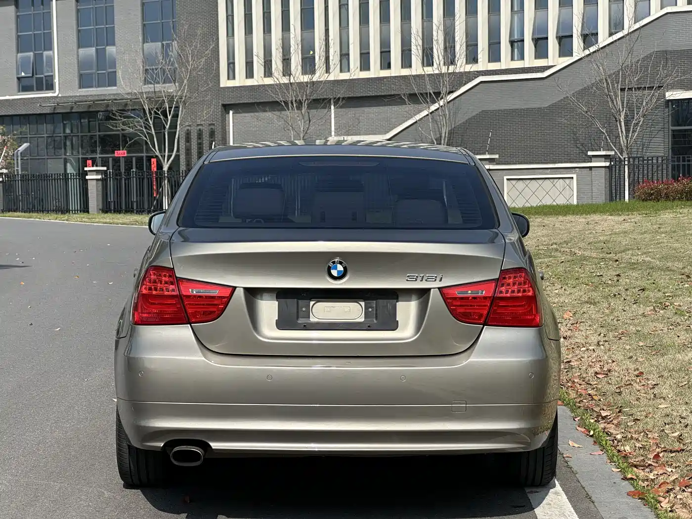 BMW 3 Series (Import) 2012 318i Leading фото 5