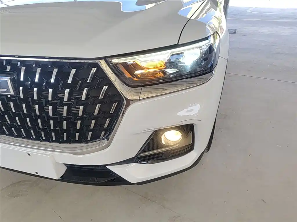 Haval H6 2023 National Trend Edition 1.5T Automatic Champion фото 24