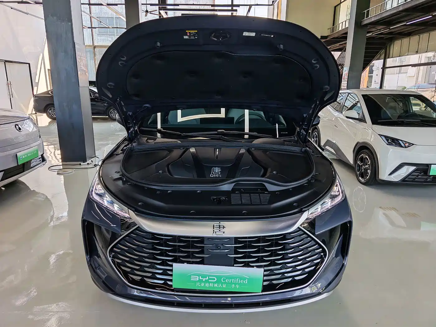 BYD Tang New Energy 2024 2025 DM-i 115KM Prestige Type