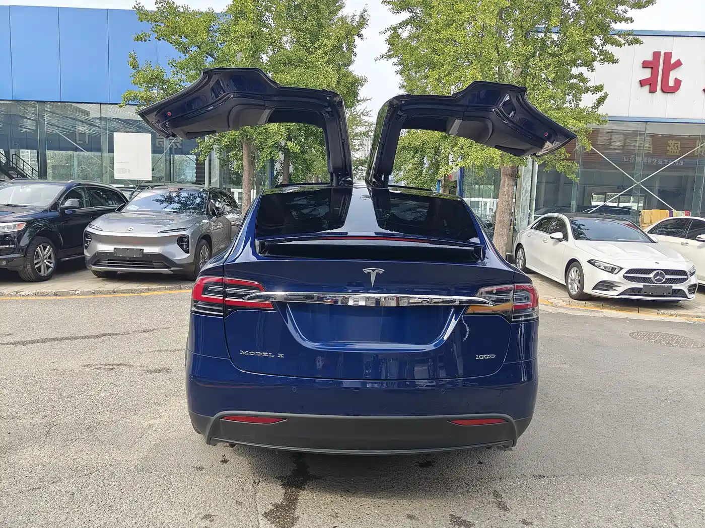 TESLA MODEL X