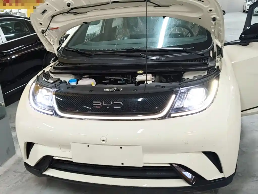 BYD Dolphin 2026 2025 420km Freedom Edition