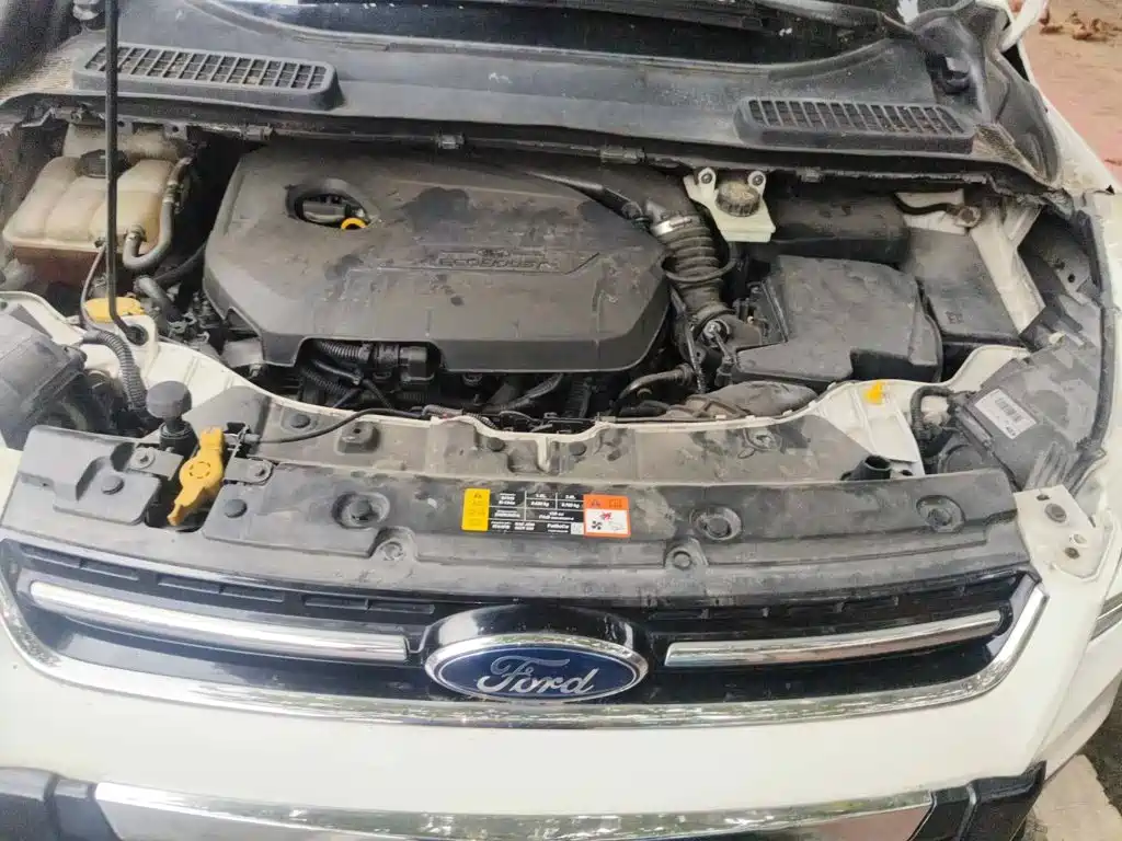 صورة 9 - Ford Kuga
