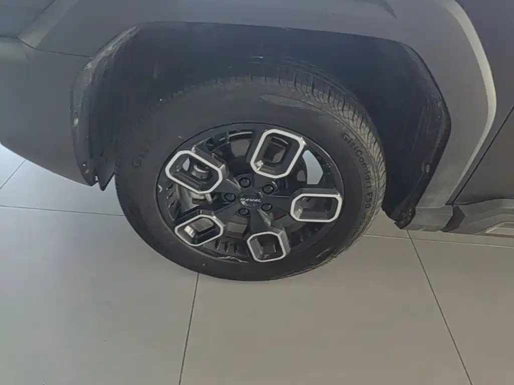 Фото 23 - Haval Cool Dog