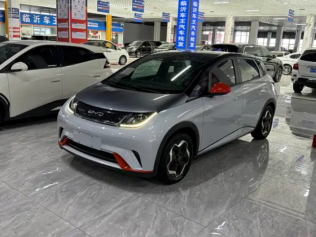 BYD Dolphin 405km, Стиль