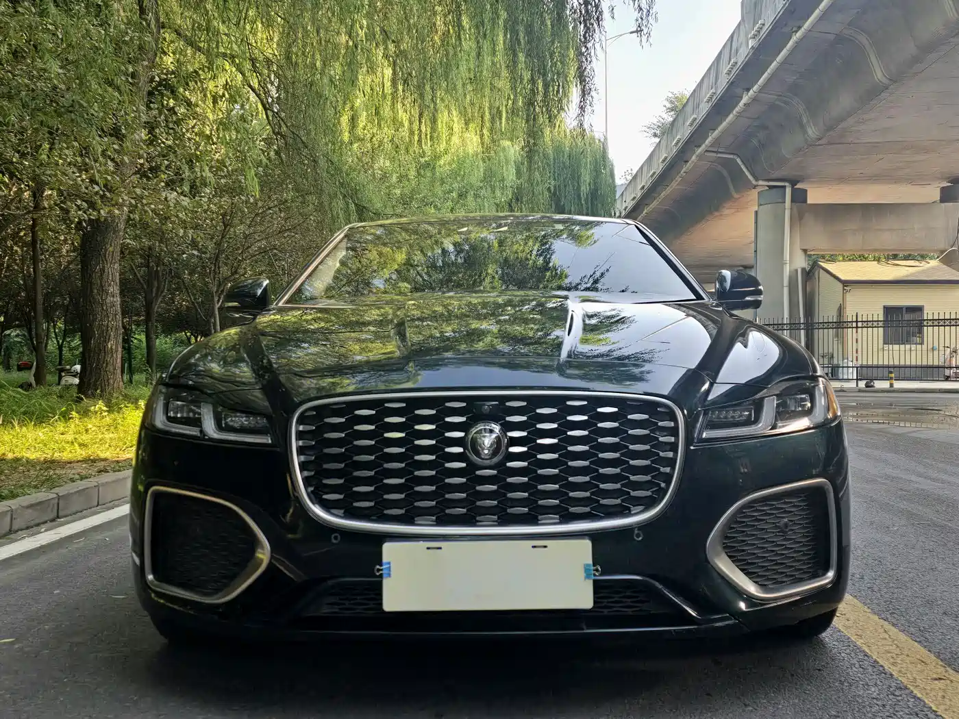 JAGUAR XFL
