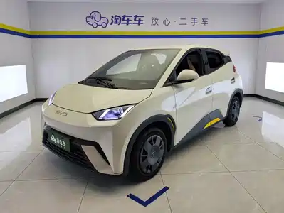 BYD Seagull