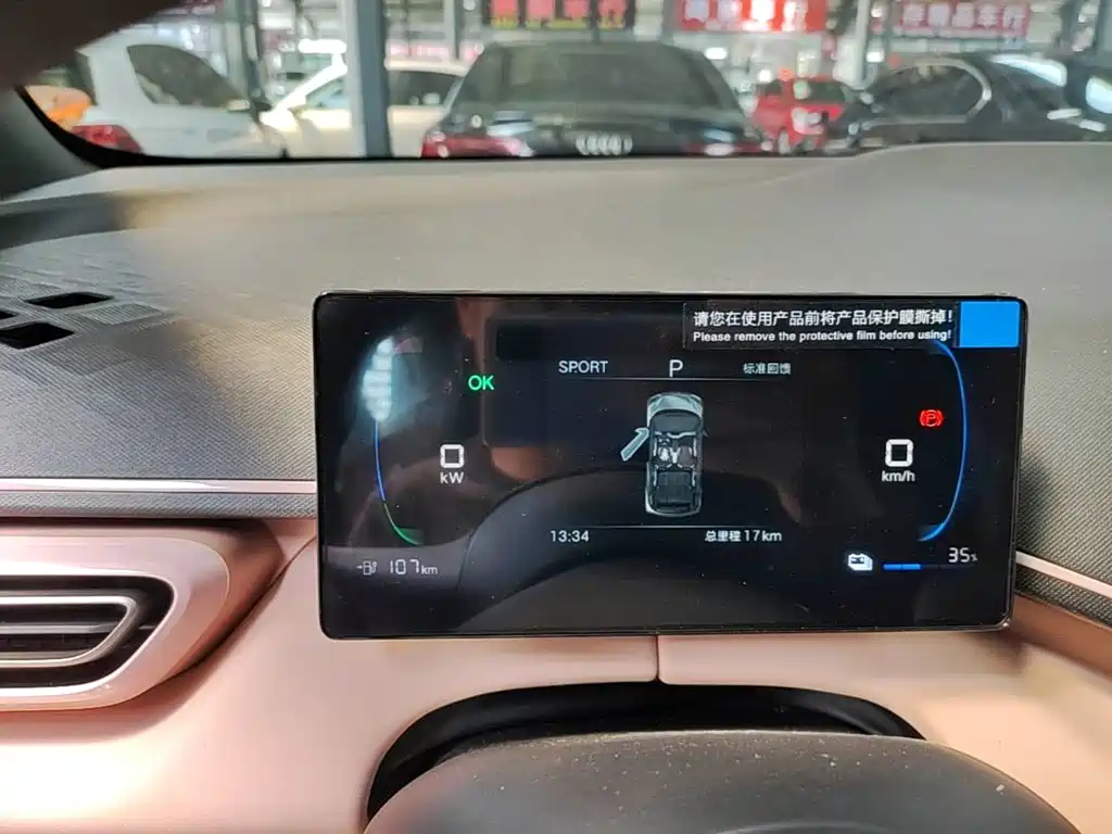 BYD Seagull 2026 2025 Smart Drive Edition 305km Vitality Version