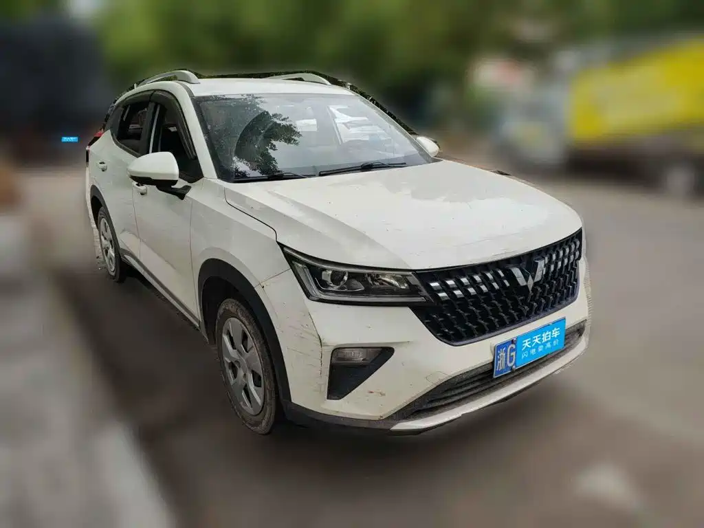 Wuling Motors Wuling Xingchi 2024 2022 1.5L Manual Freedom Edition