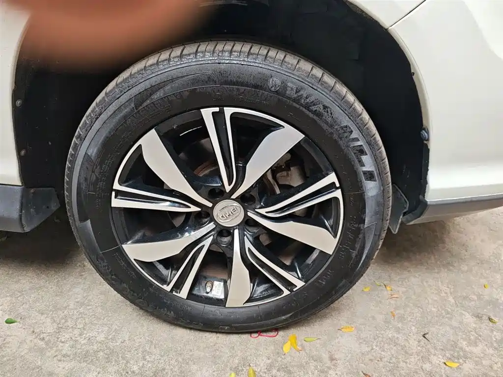 BYD S7 2017 2.0T Auto Luxury фото 25