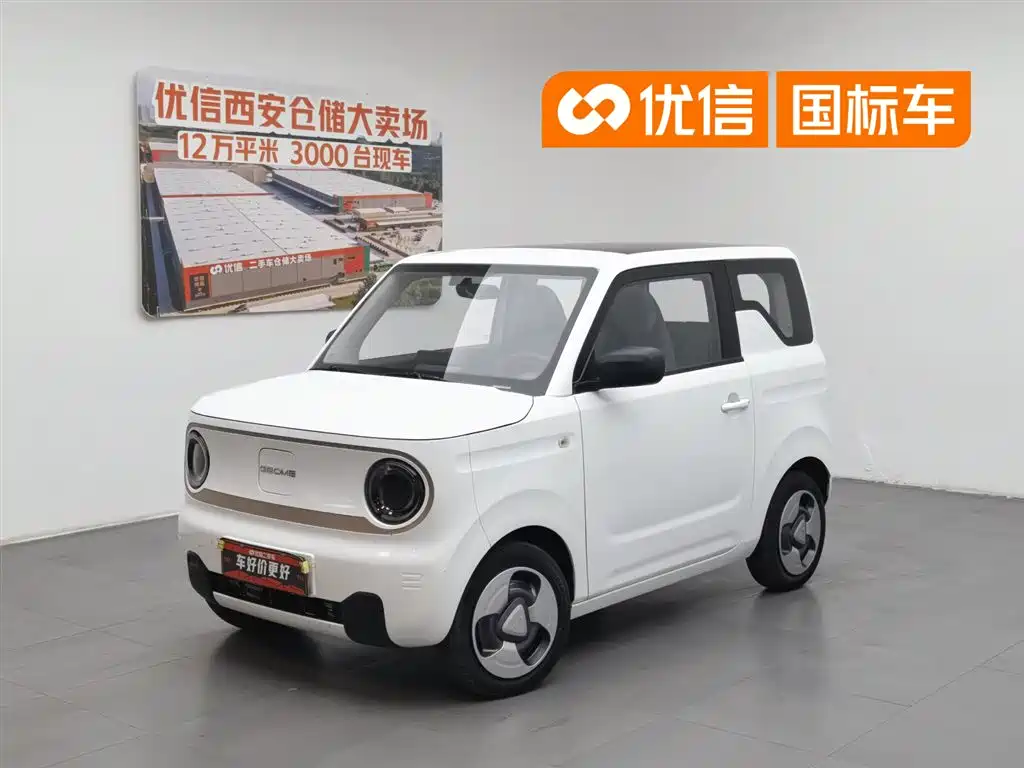 Geely Galaxy Panda 2023 Panda Mini 200km Lively Bear
