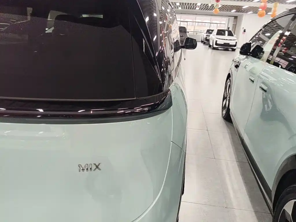 ZEEKR MIX 2026 2025 Smart Driving Edition