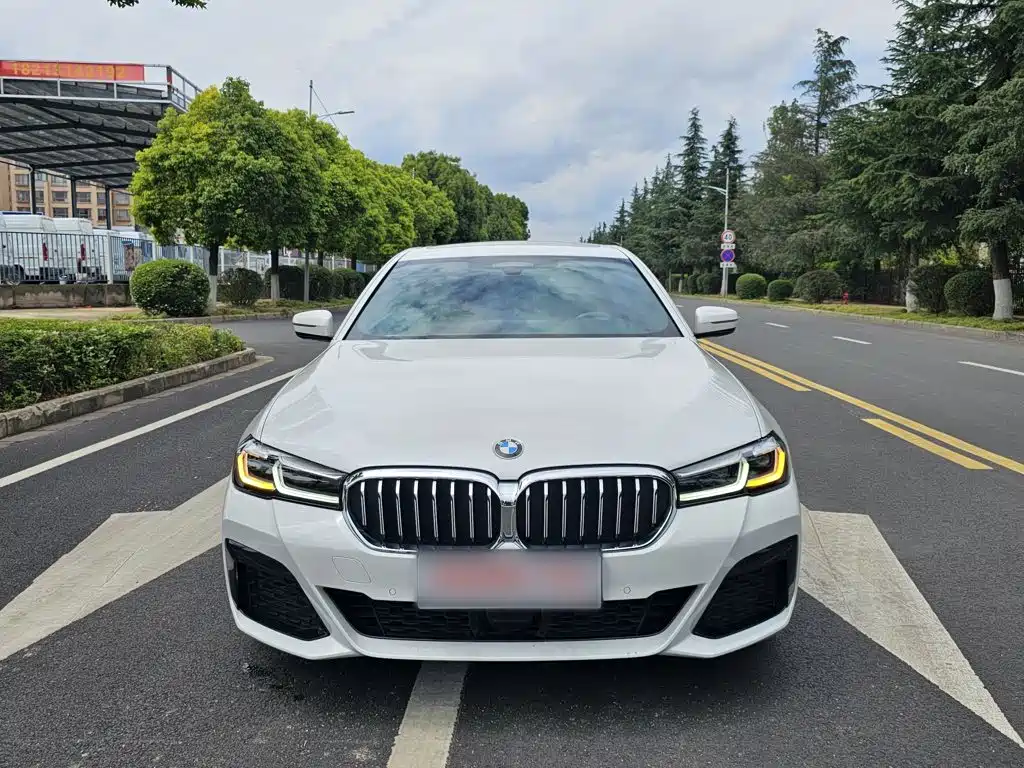 BMW 5 SERIES NEW ENERGY