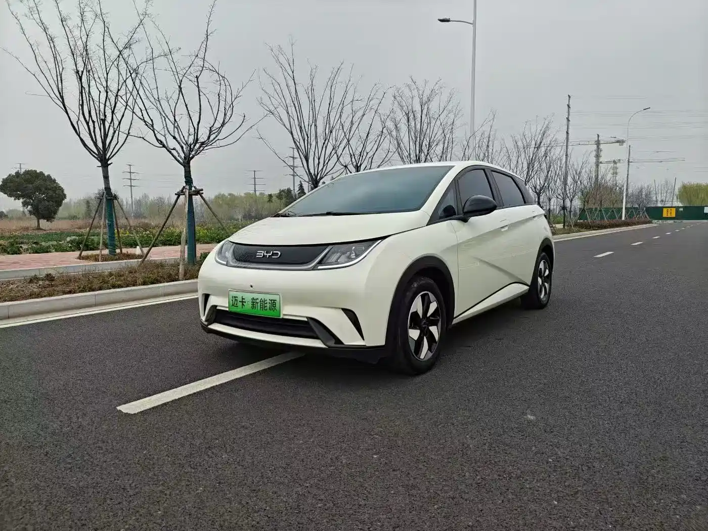 BYD DOLPHIN