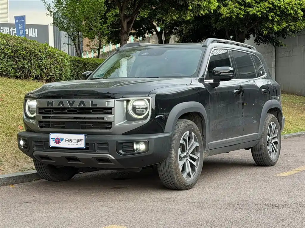 Haval Big Dog 2024 1.5T DCT Border Collie Edition