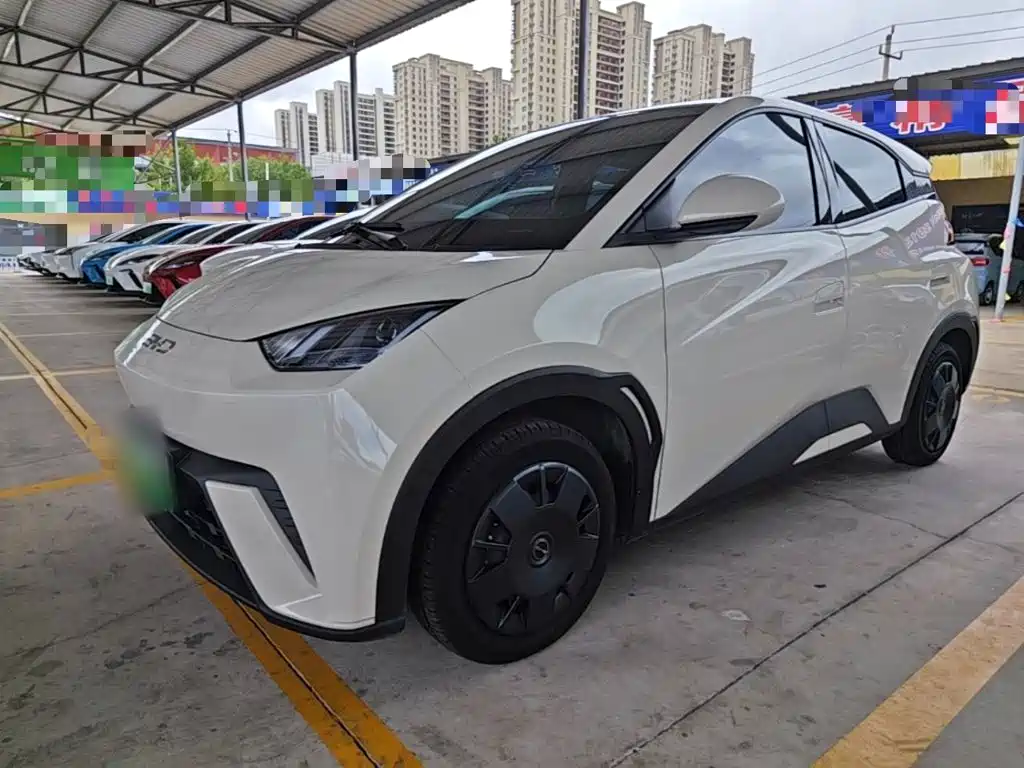 BYD Seagull 2025