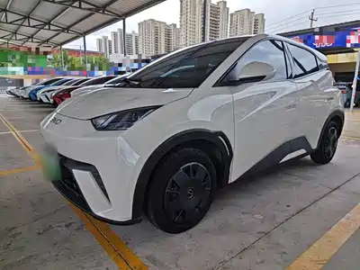 BYD Seagull