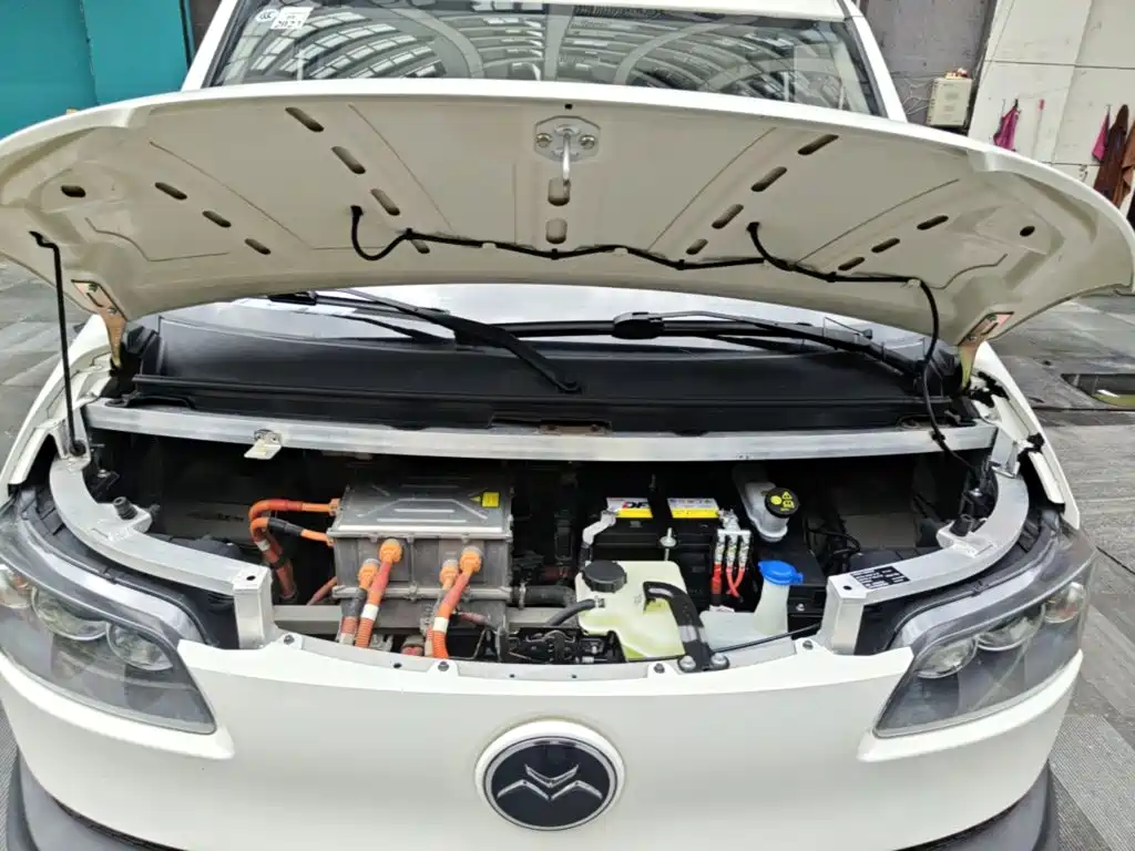 Singulato Gonow Shuai Ling 2022 2023 Standard Range 41.93kWh Tianjin Hengtian