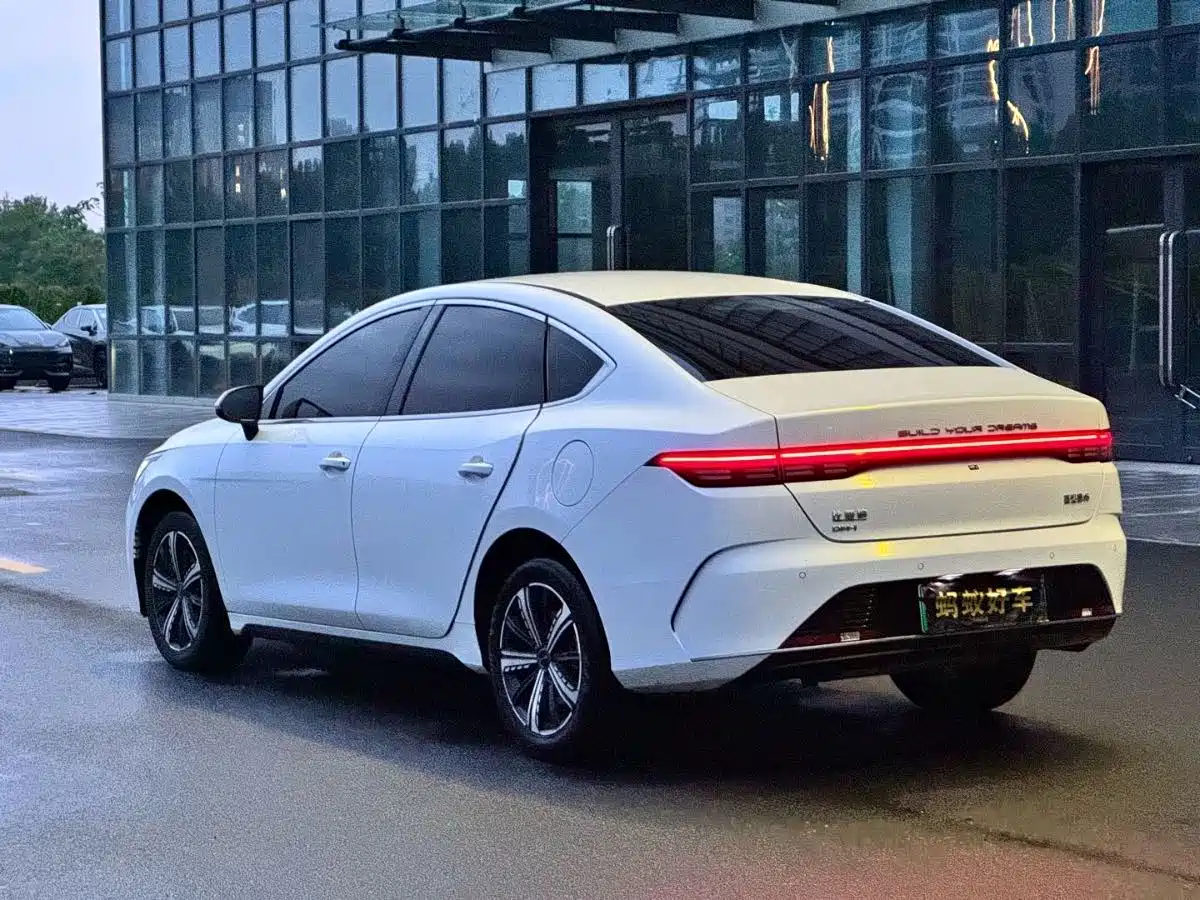 BYD Destroyer 05 2023 Champion Edition DM-i 120KM Premium фото 5