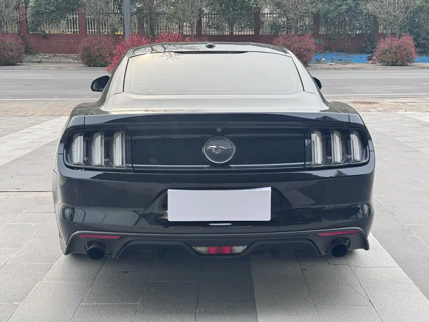FORD MUSTANG
