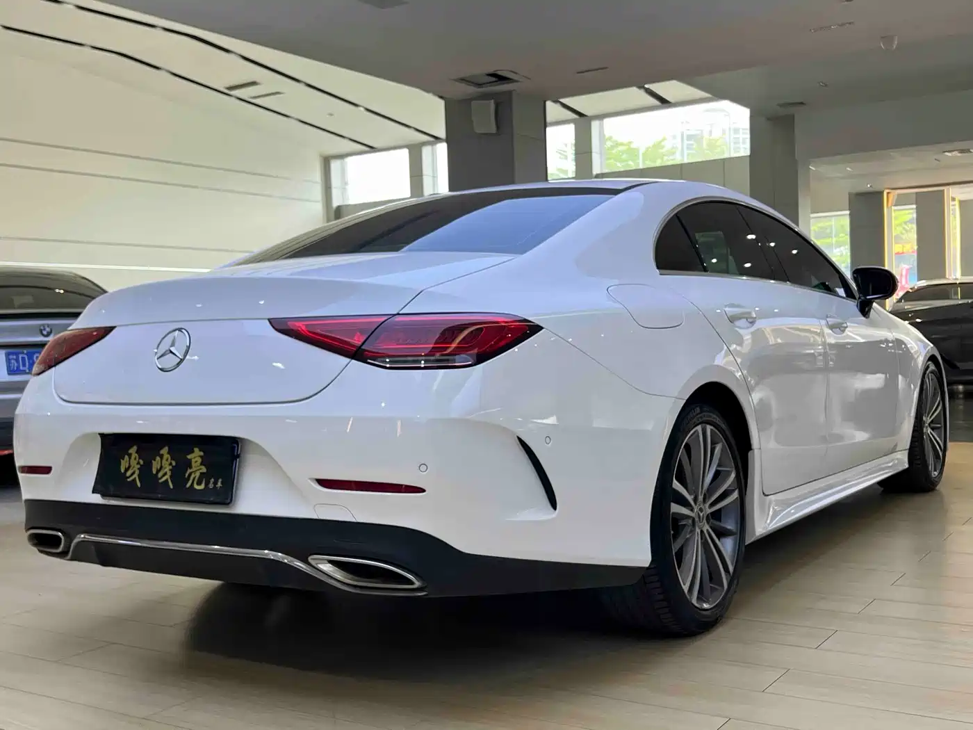 Mercedes-Benz CLS 2021 CLS 300 Sport фото 11