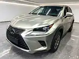 Фото 2 - Lexus NX